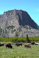 Yellowstone National Park 05/2012