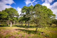 159 Adams Way_Travillian_Fossum Studios_2048px-11